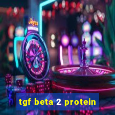 tgf beta 2 protein